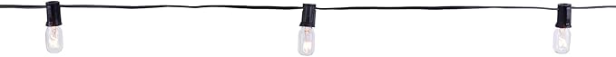 Ashland 20ct. Clear Mini Edison String Lights, 6 Pack | Lumora