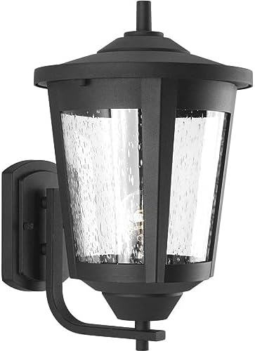 Progress Lighting East Haven Collection 1-Light Clear Seeded Glass Transitional Outdoor Large Wall Lantern Light | Lumora