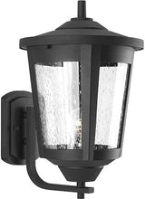 Progress Lighting East Haven Collection 1-Light Clear Seeded Glass Transitional Outdoor Large Wall Lantern Light | Lumora