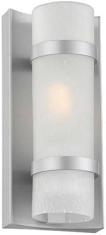 Acclaim 4700BS Apollo Collection 1-Light Wall Mount Outdoor Light Fixture, Brushed Silver
