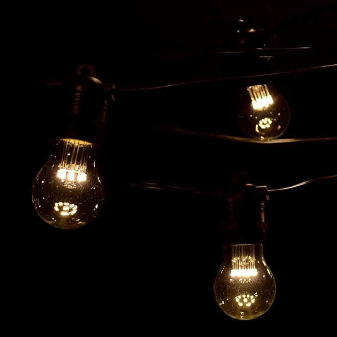 Hometown Evolution, Inc. E26 Commercial String Lights with 16 Gauge Wire (24 Foot 12 - Outdoor Security Flood Light | Lumora