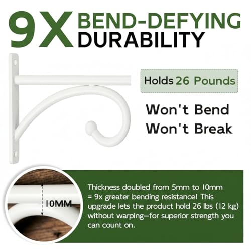 2Pack 6 Inch Plant Hangers Outdoor, Wall Hooks for Hanging Planters Baskets