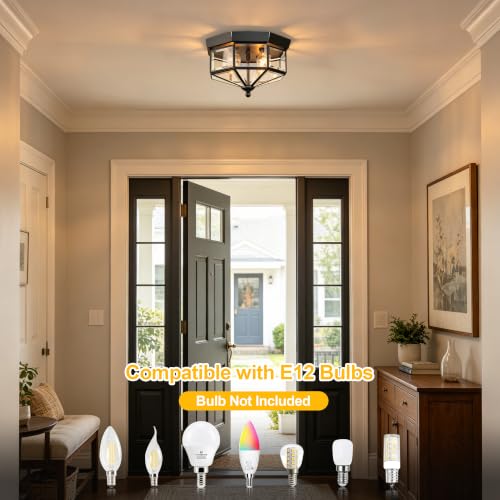 Kalium Flush Mount Outdoor Ceiling Light Fixture, 4 Light Exterior.