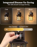 VIANIS Bronze Motion Sensor Exterior Lighting Fixtures, Waterproof