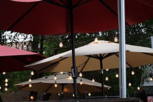 Ignite Color-Changing LED Hanging Café String Lights, 24ft Cord, 12 Lights Kit