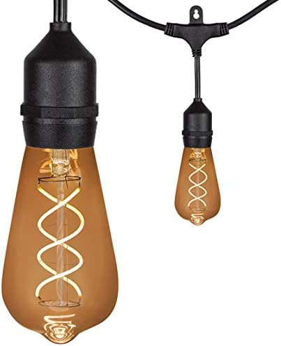 Wintergreen Lighting 30' FlexFilament LED ST64 Edison Bulb String Lights, Suspended - Outdoor Security Flood Light | Lumora