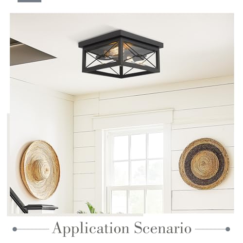 Emliviar 12 Inch Black Flush Mount Ceiling Light for Porch, 0387B-CL BK