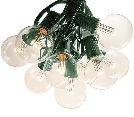 Hometown Evolution, Inc. G50 2" LED Diode Warm White Outdoor Patio String Lights with 0.6 Watt Light Bulbs (Green Wire, 100 ft)