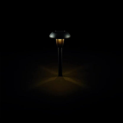 Solar Powered LED Path Lights, Dome Design, 12 Lumen Outdoor Landscape Lighting, 6 Count