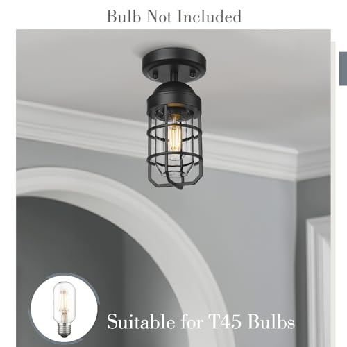 Emliviar Industrial Ceiling Light, Semi Flush Mount Lighting for Indoor, Clear Tempered Glass Shade in Black Finish, GE255F BK