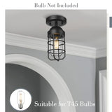 Emliviar Industrial Ceiling Light, Semi Flush Mount Lighting for Indoor, Clear Tempered Glass Shade in Black Finish, GE255F BK