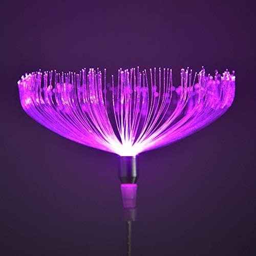 Solar Fiber Optic Outdoor Garden Decorative Changing Color Solar Lights (2 Pack)