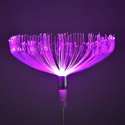 Solar Fiber Optic Outdoor Garden Decorative Changing Color Solar Lights (2 Pack)