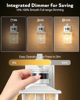 VIANIS Motion Sensor Outdoor Porch Lights Wall Mount, Anti-Rust, Waterproof
