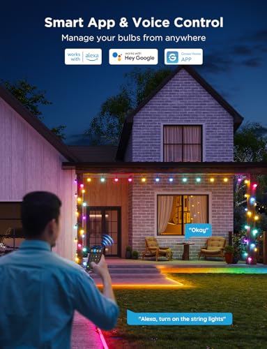 Govee Smart Outdoor String Lights 2, 48ft RGBIC Patio Lights with 15 Bulbs (Pack of 2)