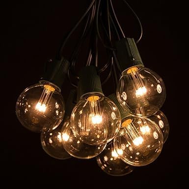 Hometown Evolution, Inc. G50 2" LED Diode Warm White Outdoor Patio String Lights with 0.6 Watt Light Bulbs (Green Wire, 100 ft)
