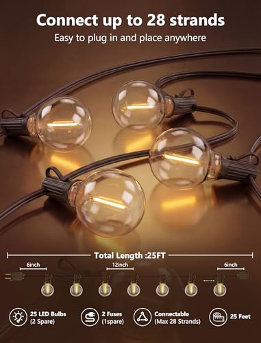25FT LED G40 Outdoor String Lights with 25 Shatterproof Bulbs, Brown Wire