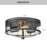 Flush Mount Ceiling Light Fixture, 12 Inch 2-Light Modern Farmhouse Semi Ceiling Light with Seeded Glass for Bedroom, Entryway, Kitchen, Hallway, ROS88 BK