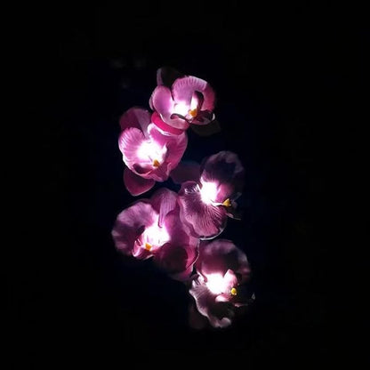 Flower Solar Lights Outdoor 2 Pack Waterproof Solar Garden Lights Phalaenopsis Flowers, Color-Changing Outdoor Lights for Patio, Back Yard, Garden, Lawn, Pathway