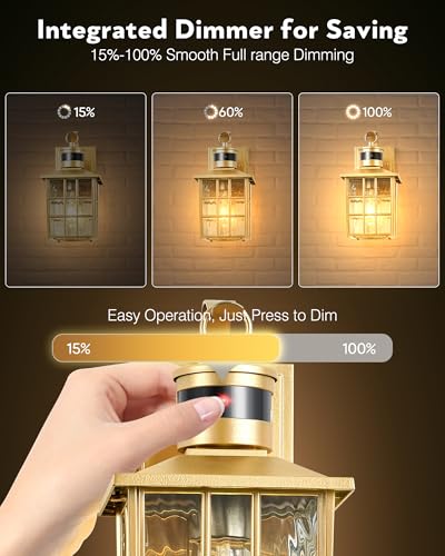 VIANIS Gold Motion Sensor Outdoor Lights for House, Anti-Rust, Waterproof