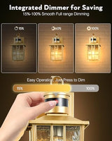 VIANIS Gold Motion Sensor Outdoor Lights for House, Anti-Rust, Waterproof
