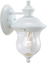 Design House 503839 Highland Traditional 1-Light Outdoor/Indoor Wall Light with Clear Seedy Glass for Porch | Lumora