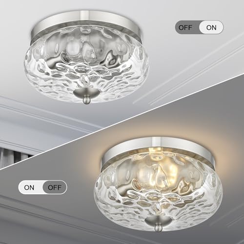 Darkaway Ceiling Light Fixtures Flush Mount Indoor Outdoor Ceiling Light with Water Ripple Glass Shade for Hallway Kitchen Bedroom Porch Living Room Nickel Finish
