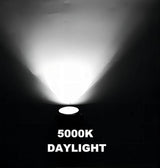 Low Voltage Landscape Lighting,Outdoor Landscaep Well Light,12W 12-24V AC/DC In-Ground Garden Light 5000K Daylight | Lumora