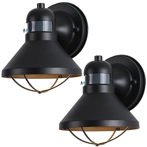 LONEDRUID 2 Pack Dusk to Dawn Motion Sensor Outdoor LED Wall Light Fixture