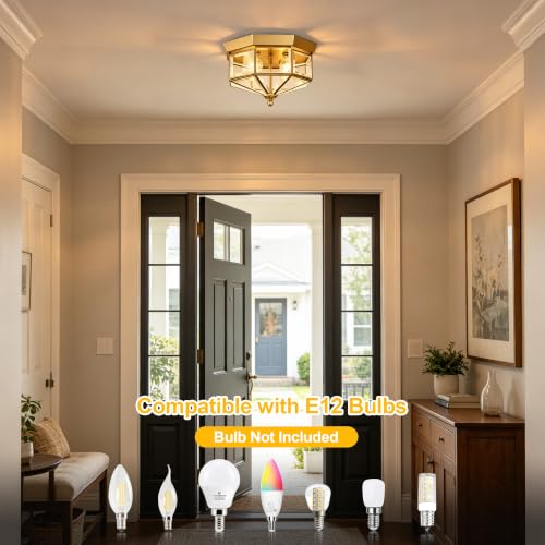 Kalium Flush Mount Outdoor Ceiling Light Fixture, 4 Light Exterior.