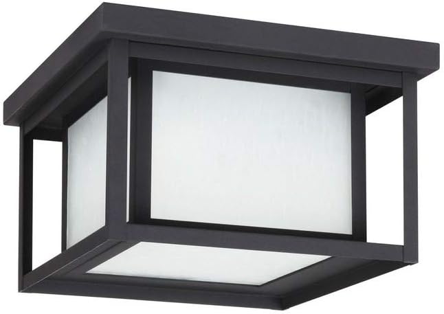 Sea Gull Lighting 79039EN3-12 Hunnington Two Light Outdoor Ceiling Flush Mount Hanging Modern Light Fixture, Black | Lumora