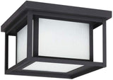 Sea Gull Lighting 79039EN3-12 Hunnington Two Light Outdoor Ceiling Flush Mount Hanging Modern Light Fixture, Black | Lumora