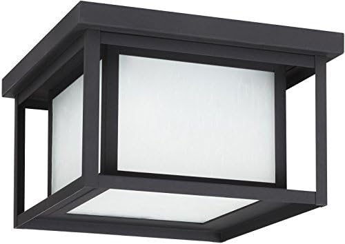 Sea Gull Lighting 79039EN3-12 Hunnington Two Light Outdoor Ceiling Flush Mount Hanging Modern Light Fixture, Black | Lumora