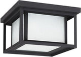 Sea Gull Lighting 79039EN3-12 Hunnington Two Light Outdoor Ceiling Flush Mount Hanging Modern Light Fixture, Black | Lumora