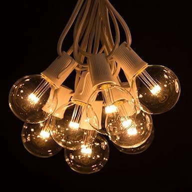 Hometown Evolution, Inc. G50 2" LED Diode Warm White Outdoor Patio String Lights with 0.6 Watt Light Bulbs (White Wire, 10 ft)