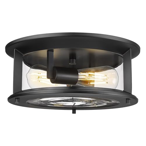 Emliviar 12.6" Farmhouse Flush Mount Ceiling Light, 2-Light Modern Close to Ceiling Light Fixture for Kitchen, Hallway Mounted Lantern with Clear Glass, Black Finish, YE19108-F1 BK