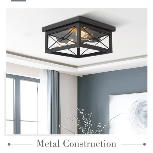 Emliviar 12 Inch Black Flush Mount Ceiling Light for Porch, 0387B-CL BK