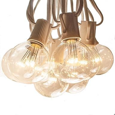 Hometown Evolution, Inc. G50 2" LED Diode Warm White Outdoor Patio String Lights with 0.6 Watt Light Bulbs (White Wire, 10 ft)