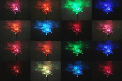 Set of 1 Solar Garden Stake Lights with Color Changing LED or Regular White LED Landscape Path Lights (1 Piece) (Turtle)