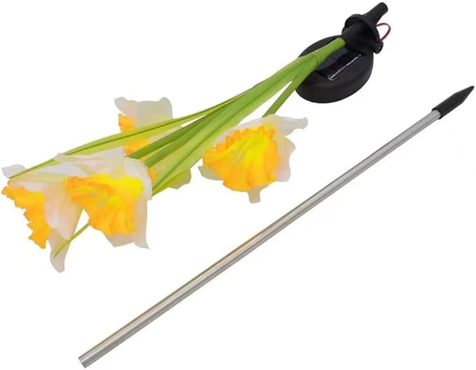 Solar Lights Outdoor Decorative, 2 Pack Solar Garden Lights Daffodils Flowers 7 Color Changing LED Soalr Powered Outdoor Lights, Waterproof Solar Lights for Garden Patio Yard
