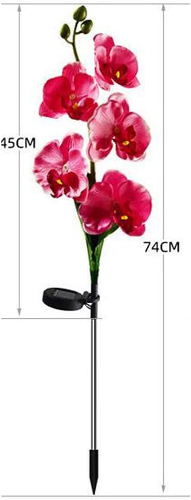Aolyty Solar Garden Lights Outdoor, IP65 Waterproof Solar Stake Lights Butterfly Orchid Flowers Lights for Lawn Patio Backyard Landscape Party Decorative (Pink, 2 Pack)