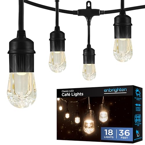Enbrighten Classic Outdoor String Lights, 36ft, 18 Bulbs, White Light Only