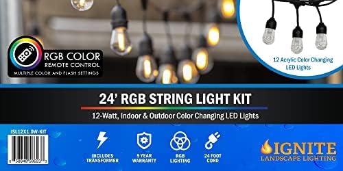Ignite Color-Changing LED Hanging Café String Lights, 24ft Cord, 12 Lights Kit