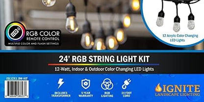 Ignite Color-Changing LED Hanging Café String Lights, 24ft Cord, 12 Lights Kit