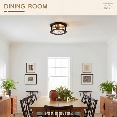 Emliviar Vintage Flush Mount Ceiling Light Fixture, 2-Light Farmhouse Close to Ceiling Mounted Lamp with Water Grain Glass for Kitchen, Oil Rubbed Bronze Finish, YE19108-F1 ORB-WG