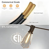 60FT Outdoor String Lights ST38 LED with Remote Waterproof Dimmable