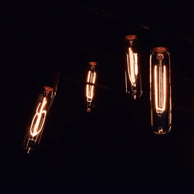 Hometown Evolution, Inc. Edison Bulb Outdoor String Lights with Hand-Threaded Filament (T25 Tube Edison - Black Wire, 100 ft)