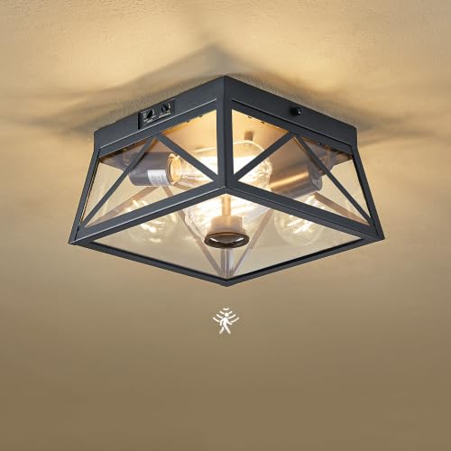 Tarentlight Adjustable Outdoor Motion Sensor Ceiling Light,10" Modern Industrial Design of Squares Flush Mount 2-Light with Clear Glass for Your Porch,Garage,Patio,Hallway,Entryway