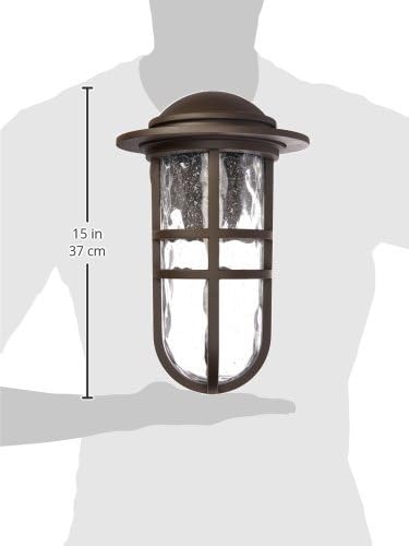 WAC Lighting dweLED, Steampunk 13in LED Indoor and Outdoor Wall Light 3000K in Bronze