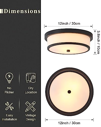 12 inch Flush Mount Ceiling Light, 2-Light Close to Ceiling Light Fixtures with Black Finish for Bathroom Bedroom Kitchen Hallway (Black)